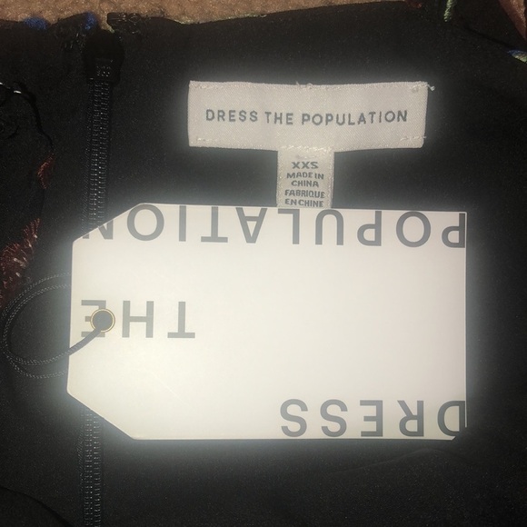 Dress the Population Maren Embroidered Floral Sleeveless Fit & Flare Dress XXS - Picture 10 of 12